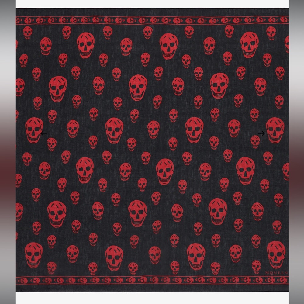 Alexander McQueen Scarf